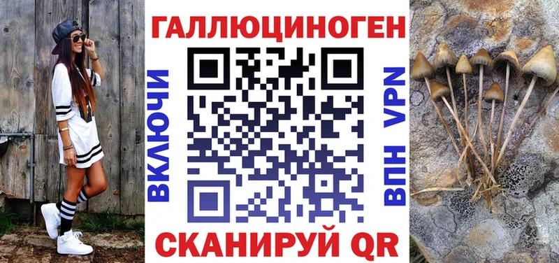 Галлюциногенные грибы Psilocybe  МЕГА ONION  Ростов 